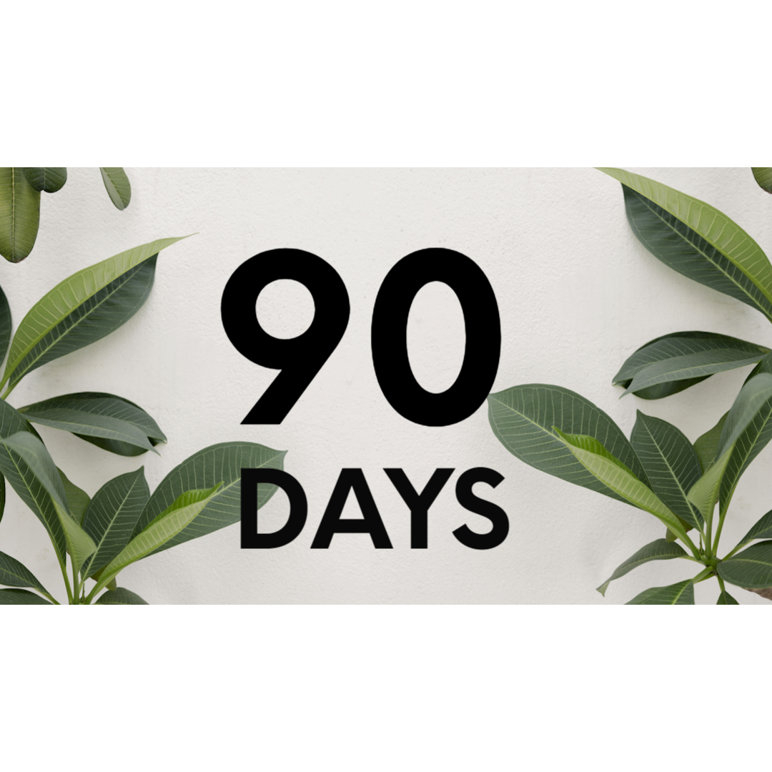90-Day