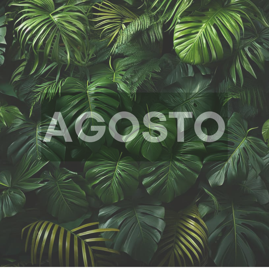 AGOSTO ESCRITO SOBRE HOJAS VERDES